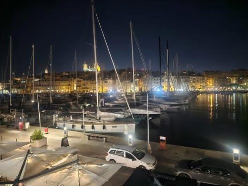 549193037 1191594609673255 3628579882143433373 n